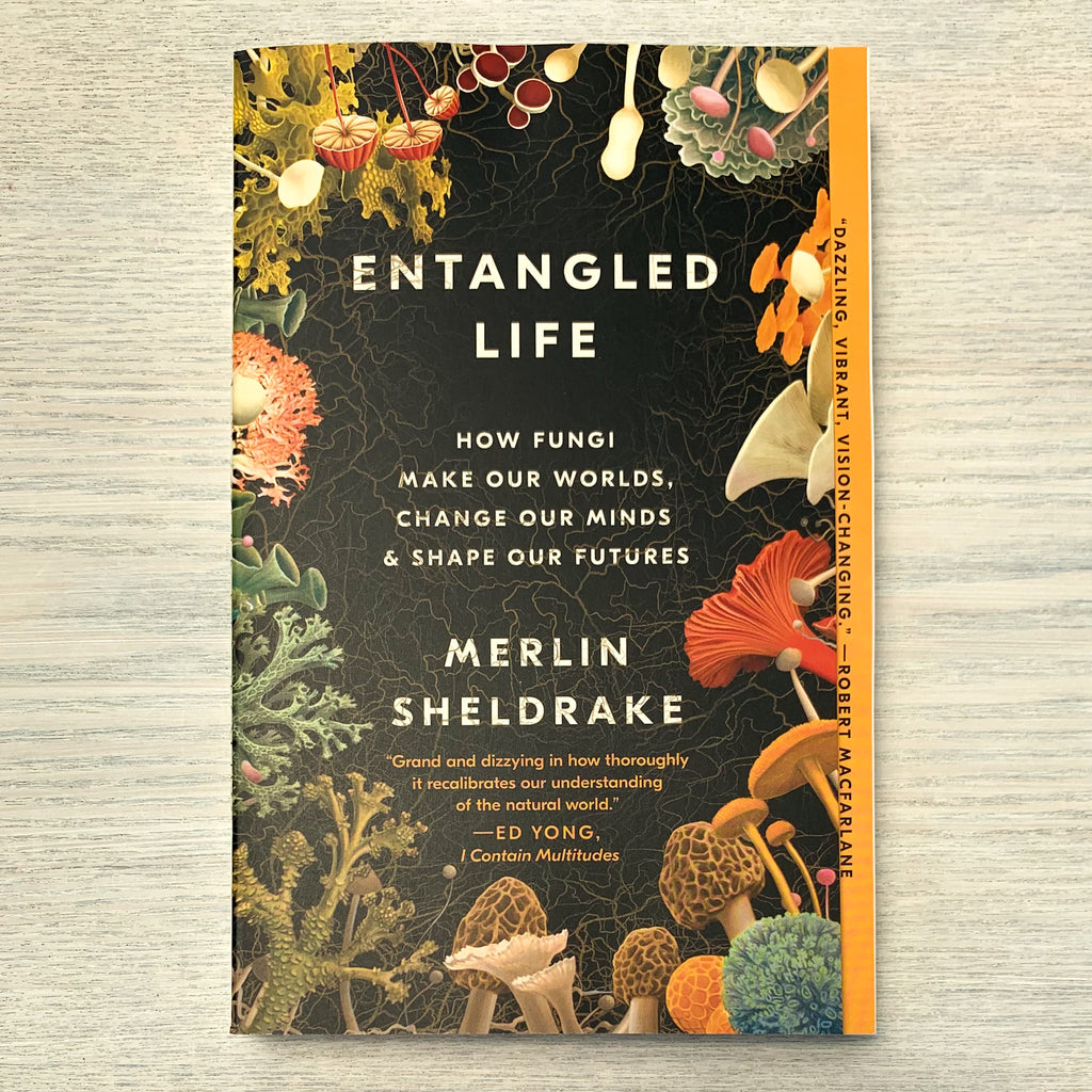 Black softcover book with title encircled by different fungal and lichen lifeforms. Yellow sidebar with text "Dazzling, vibrant, vision-changing. - Robert McFarlane"