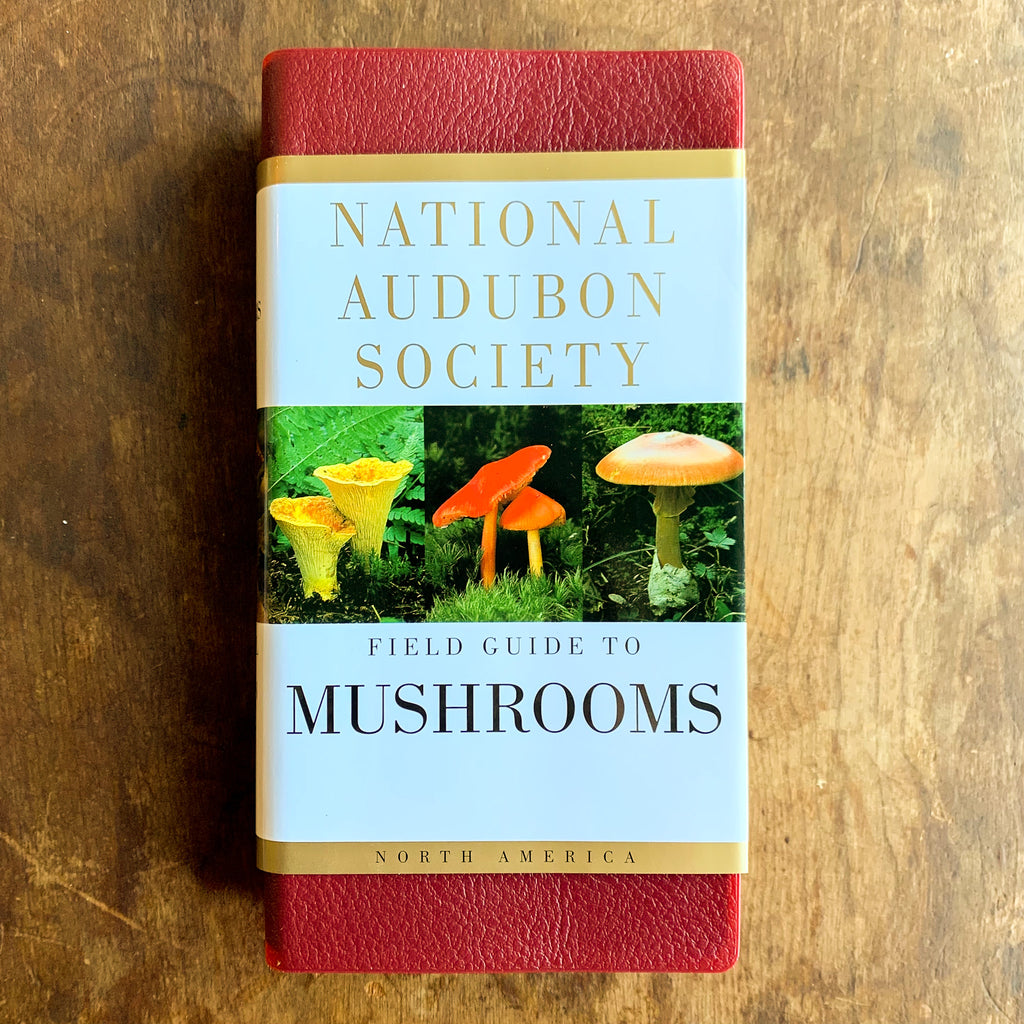 Front cover of National Audubon Society Field Guide to Mushrooms featuring durable red vinyl cover and colorful dust jacket with photographs of three kinds of mushrooms shown.