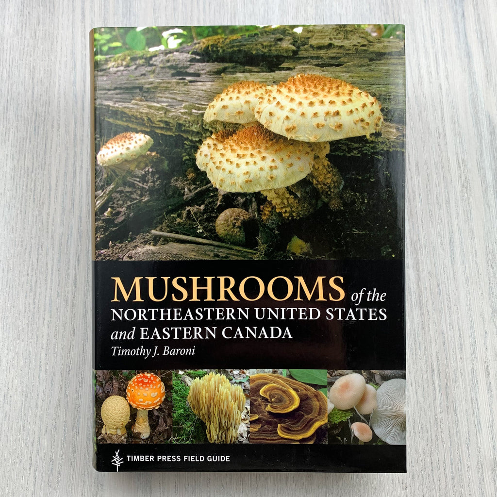 Soft front cover of Mushrooms Of The Northeastern United States and Eastern Canada displaying photographs of several kinds of different looking mushrooms.