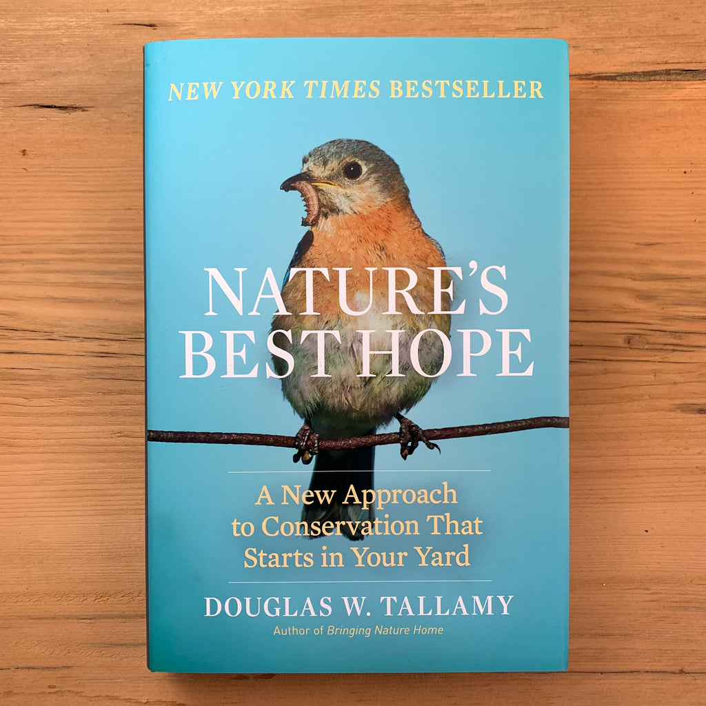 Front cover dust jacket of Nature's Best Hope displaying a robin on a branch with a grub in its beak against a blue sky background. 