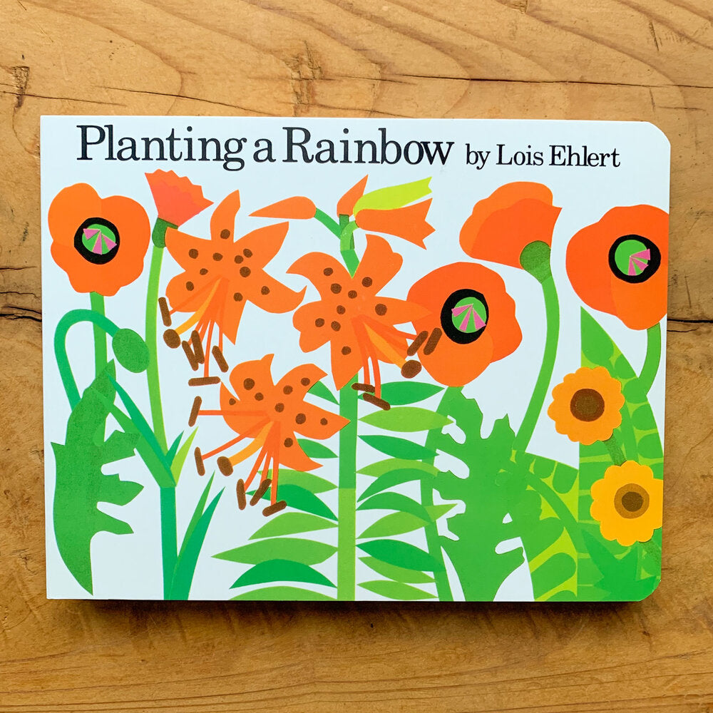 Front cover of Planting A Rainbow board book displaying a bold illustration of orange flowers and their green stalks against a pale blue background.