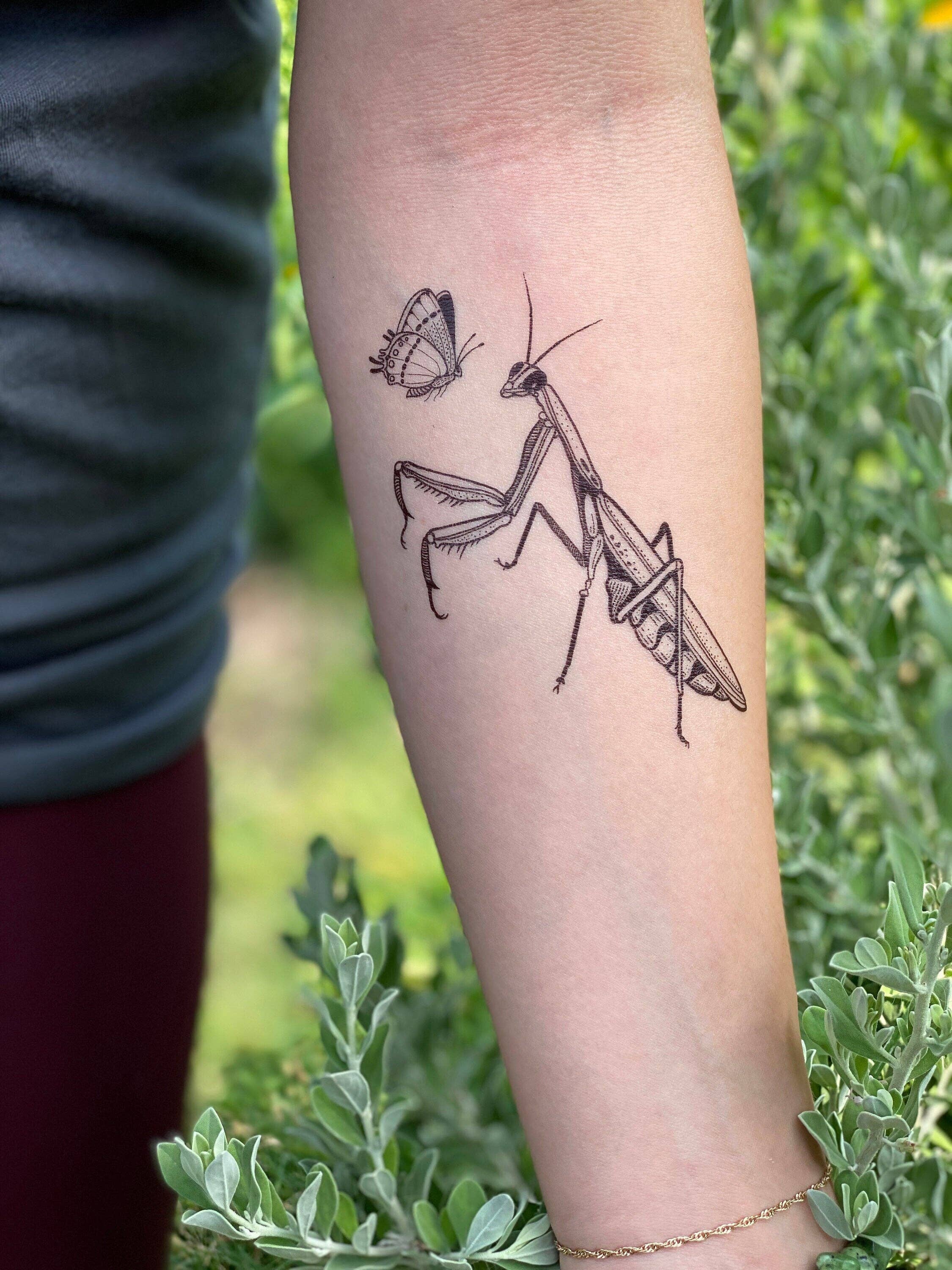 Praying Mantis Tattoo Meaning: Symbolism, Strength & Spirituality