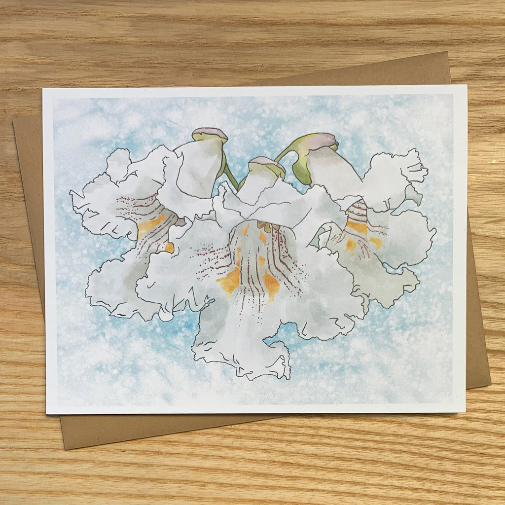 Greeting card featuring illustration of cloud-like white catalpa blossoms on a blue background