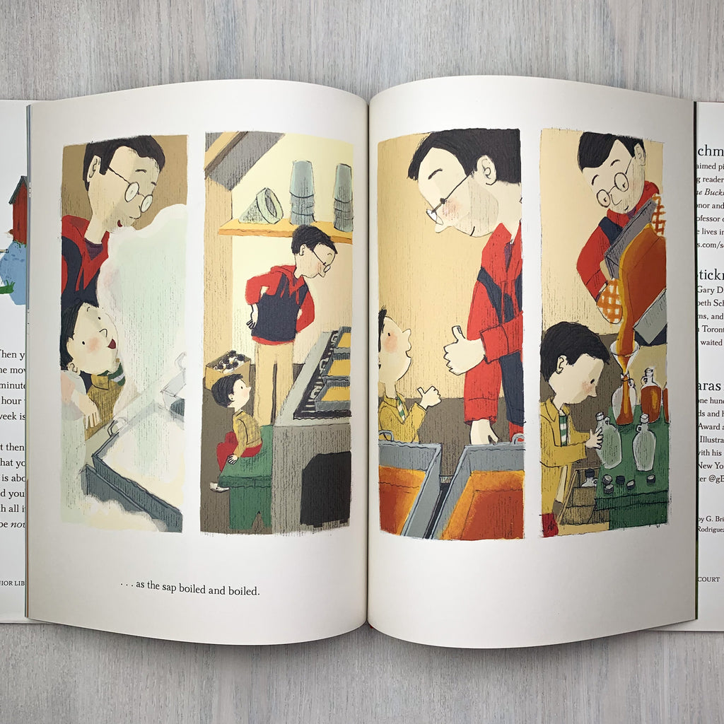 Interior picture book spread with few words showing a parent and child with pale skin and dark hair going through the maple sugaring steps
