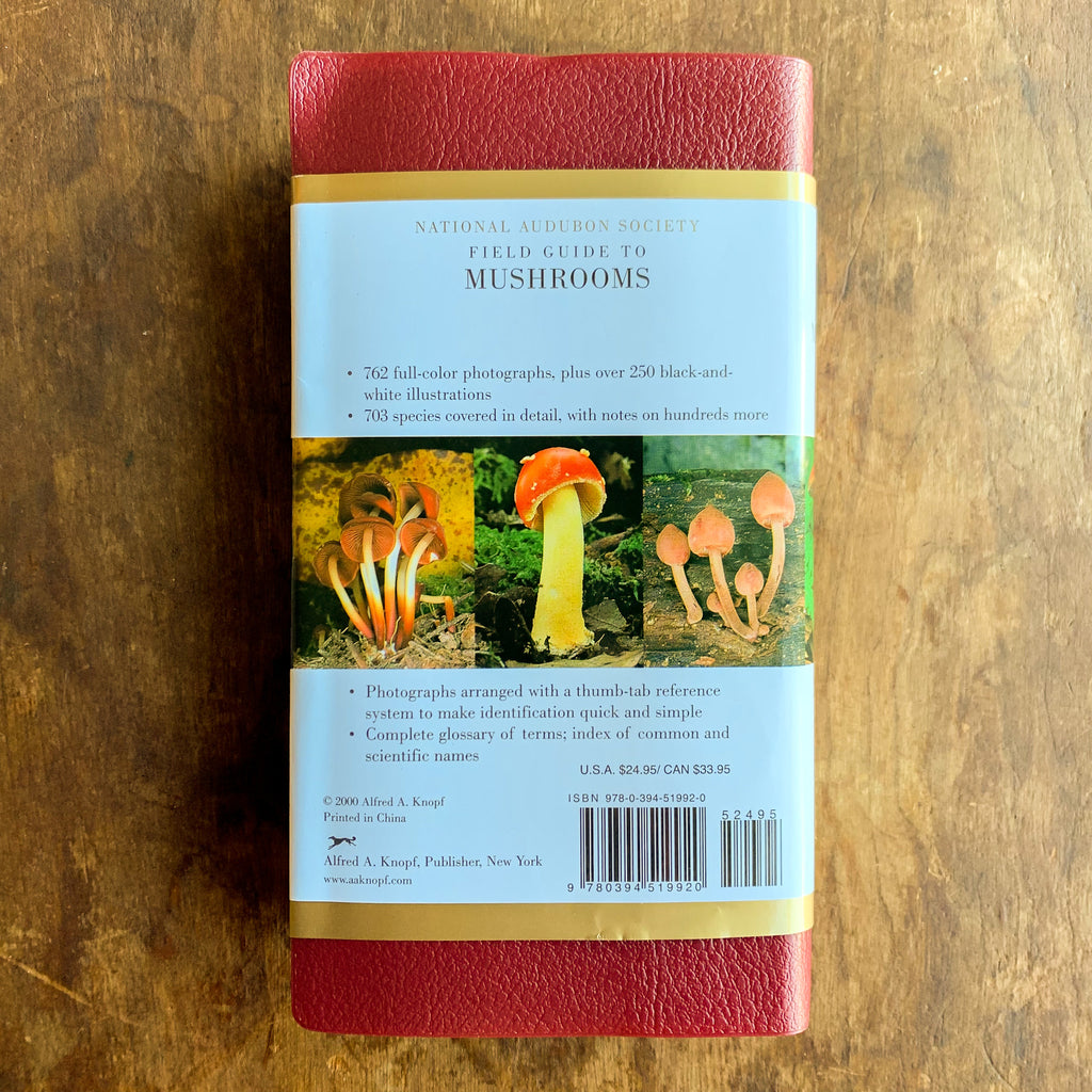 Back cover of National Audubon Society Field Guide to Mushrooms displaying durable red vinyl cover and light blue dust jacket with a description of the book's contents and three photographs of different vibrant orange mushrooms.