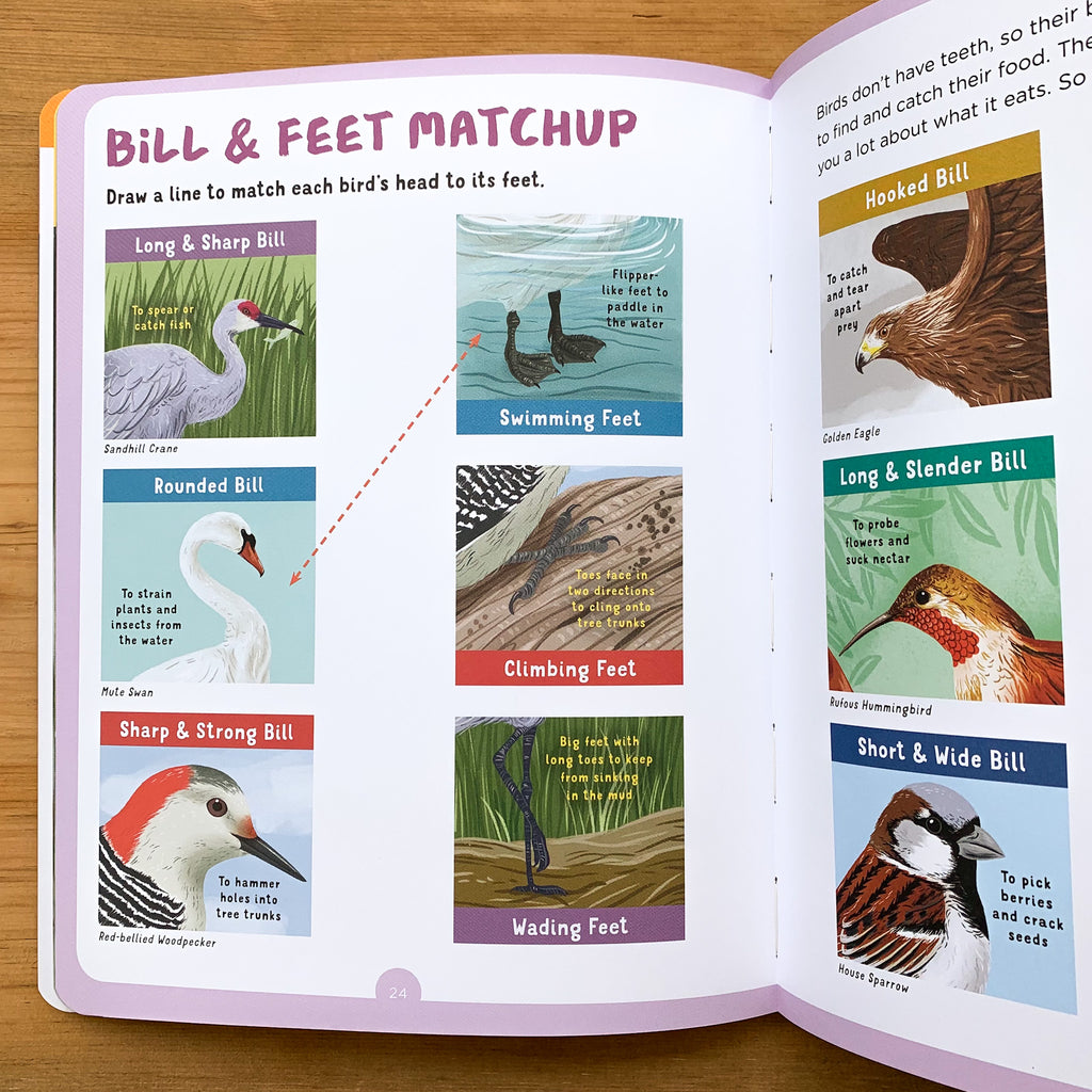 Full color book pages of "Bill & feet matchup" activity