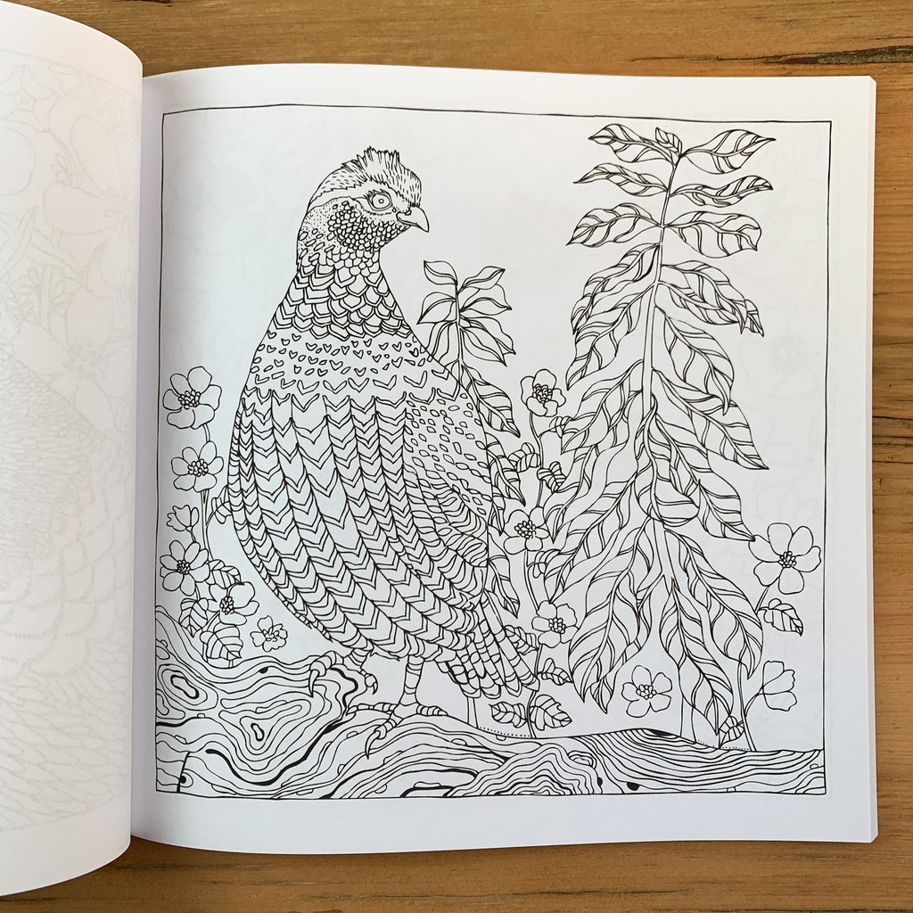  Black and white coloring page of a grouse