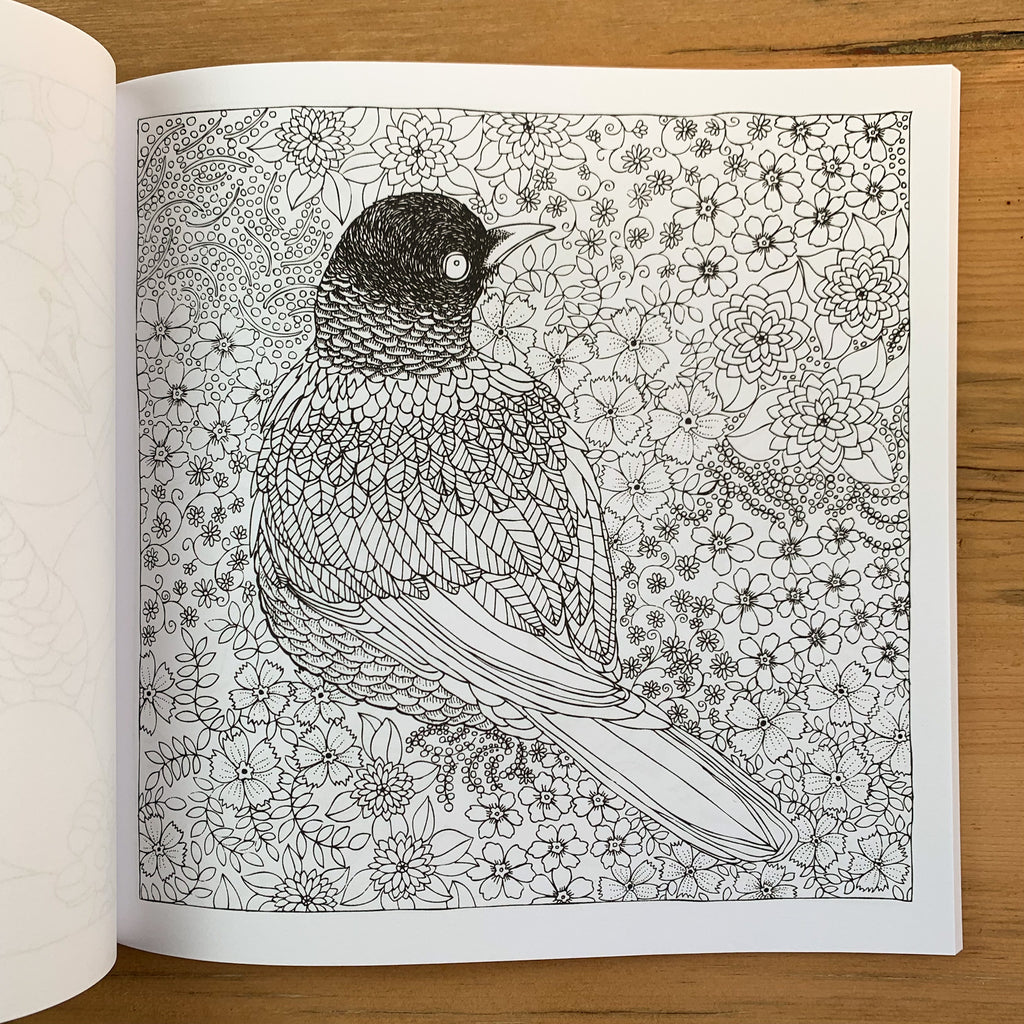 Black and white coloring page of a Robin on a field of small flowers