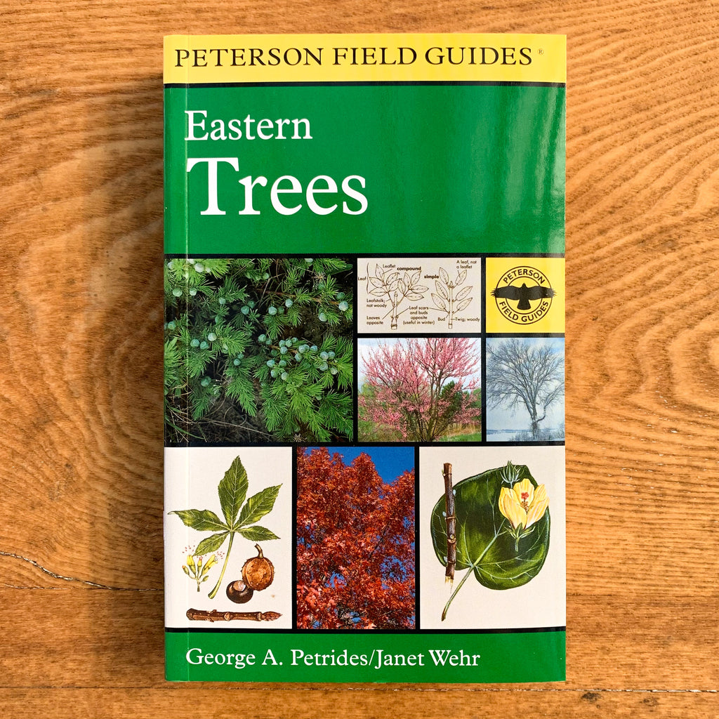Green field guide on a wood backdrop with photos of various tree ID elements and classic yellow "PETERSON FILED GUIDES" text across top