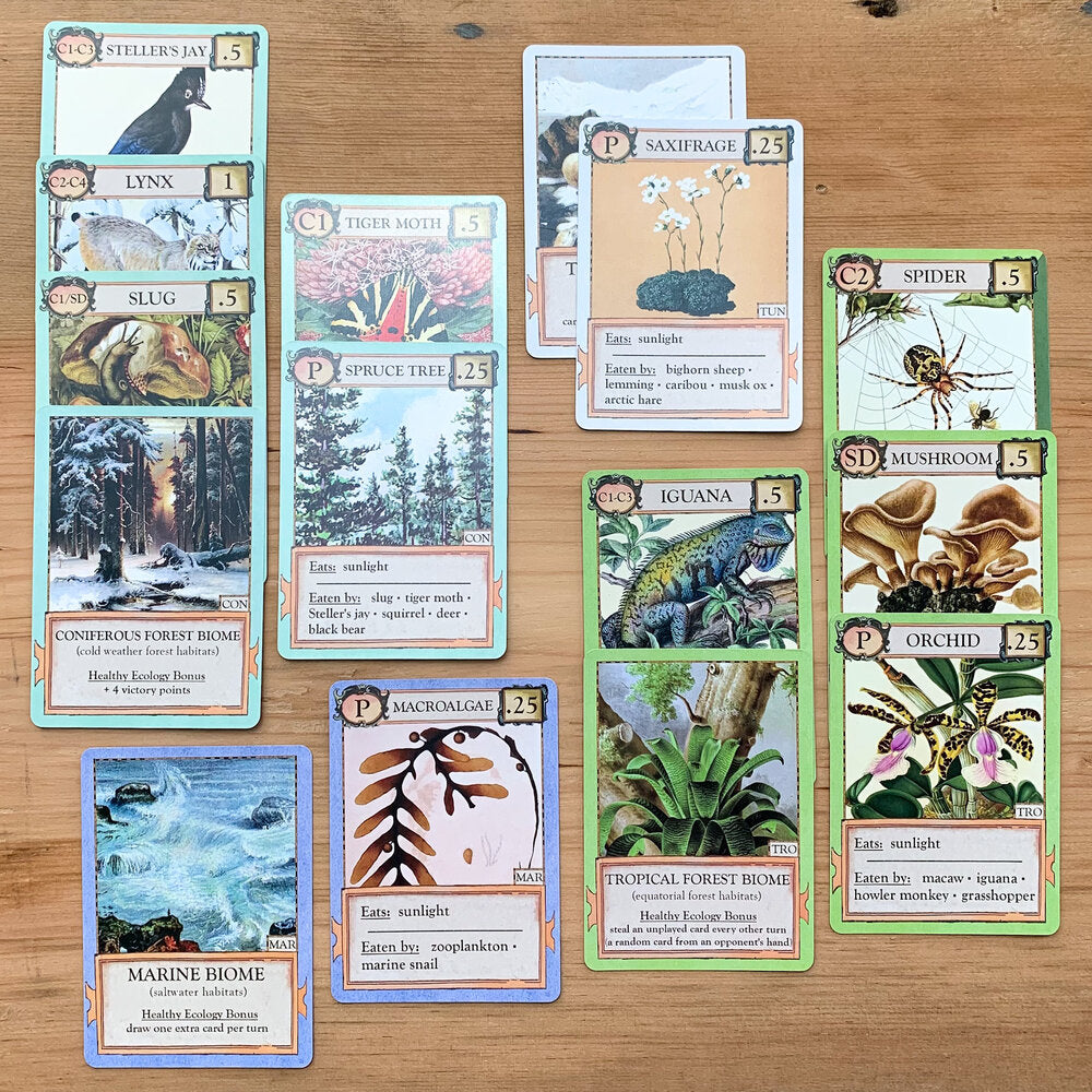 Example card game hand showing four distinctly colored biomes populated by different creatures
