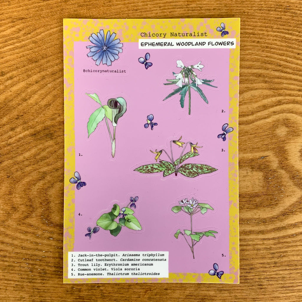 Sticker sheet with pink background, spotted yellow border and six flower stickers