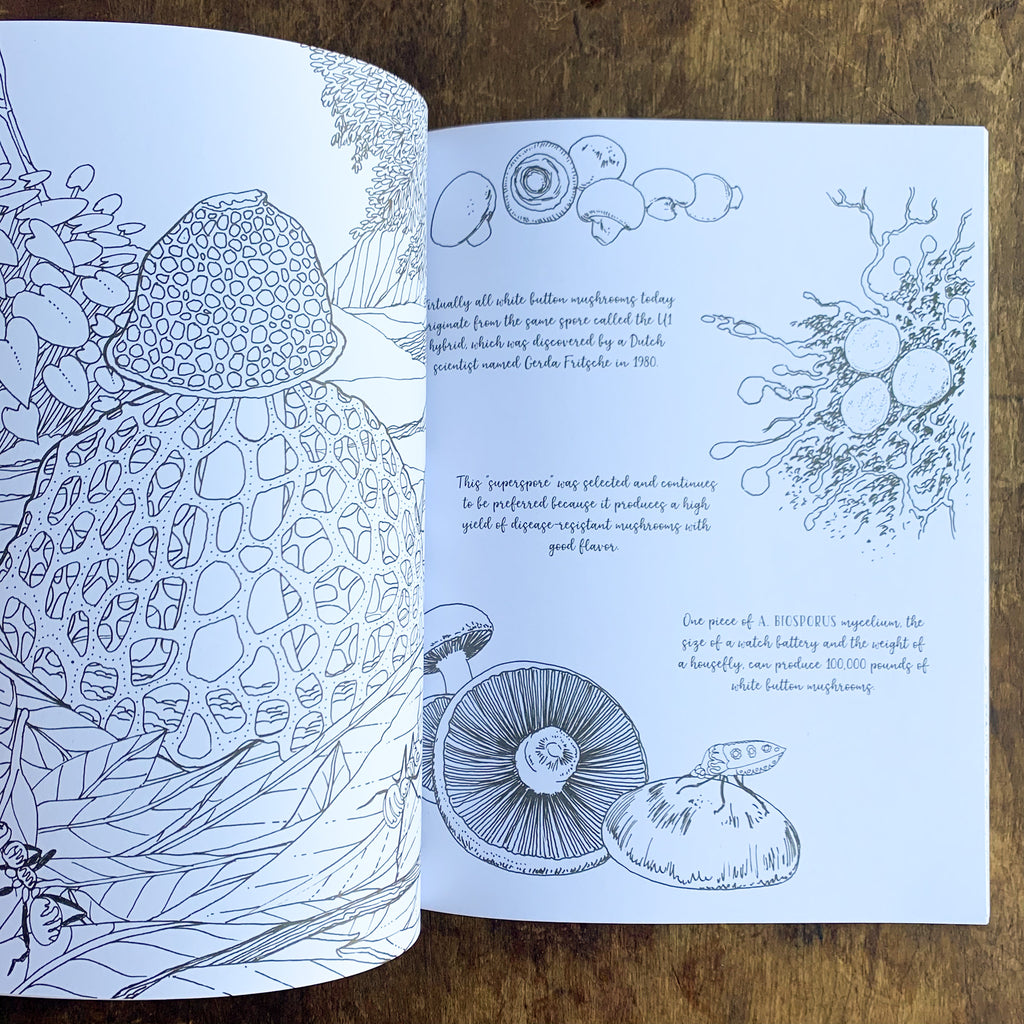 Black and white coloring book pages featuring various mushrooms including a stinkhorn with netting out