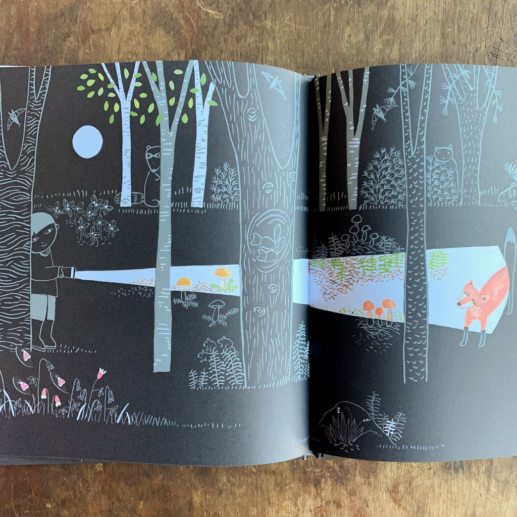 Wordless picture book spread, black with white and gray line art night scene and a child's flashlight beam illuminating a fox and mushrooms in color.