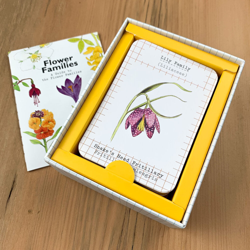 Interior card game box showing "Lily Family: Snake's Head Fritillary" card 