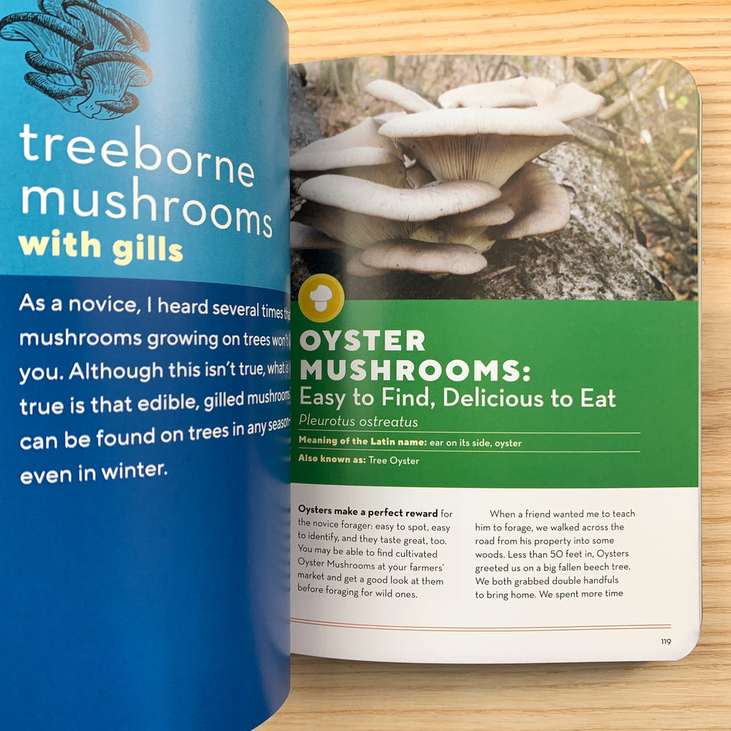 Full color page spread with photo of oyster mushrooms and description