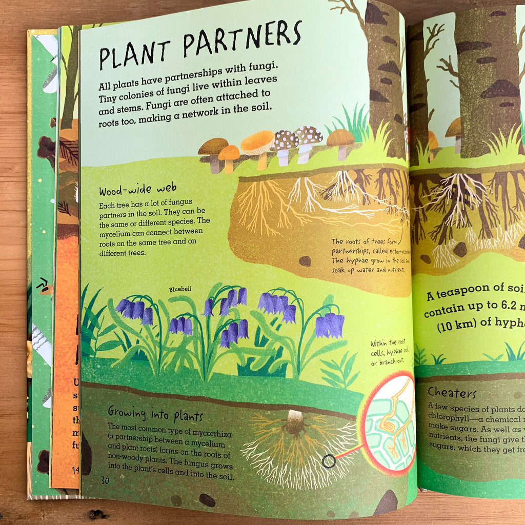 Picture book spread with page title "PLANT PARTNERS" and various informative blurbs with forest illustration