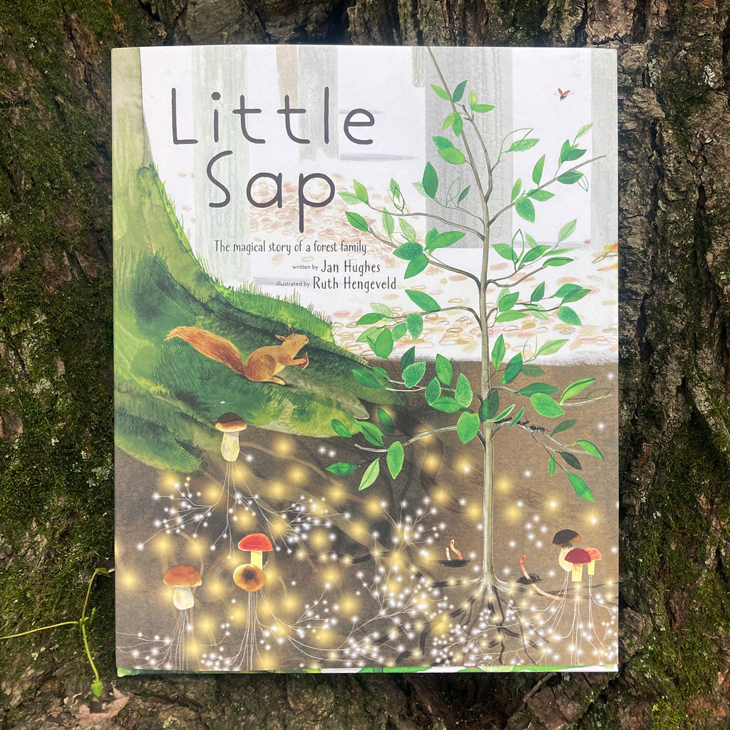 Front cover of Little Sap picturebook dustjacket featuring a stylized illustration of a small sapling growing at the foot of mother tree, while mushrooms form a forest link beneath the ground of the woods.