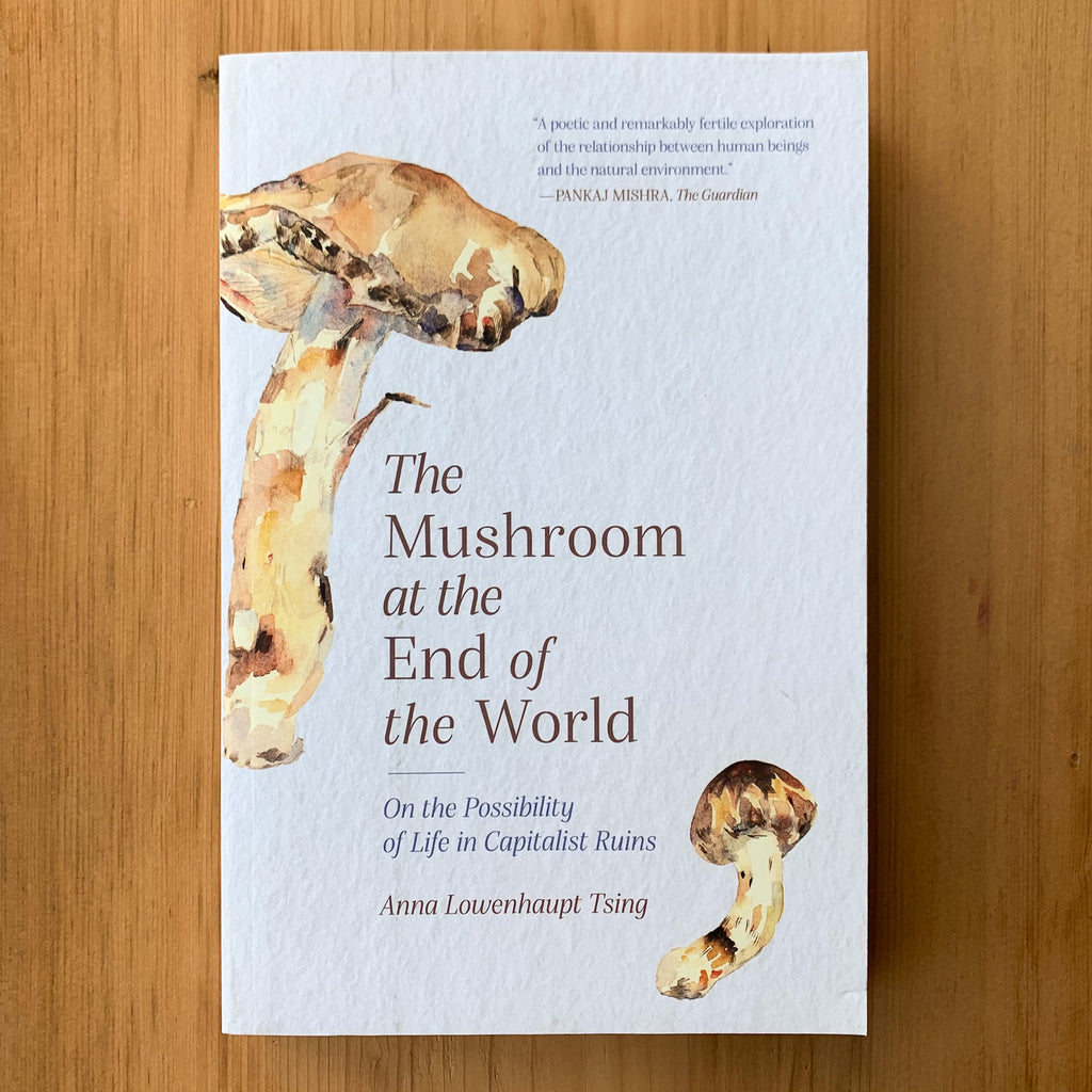 Front cover of The Mushroom at the End of the World with earthy brown illustrations of mushrooms against a soft off-white background.