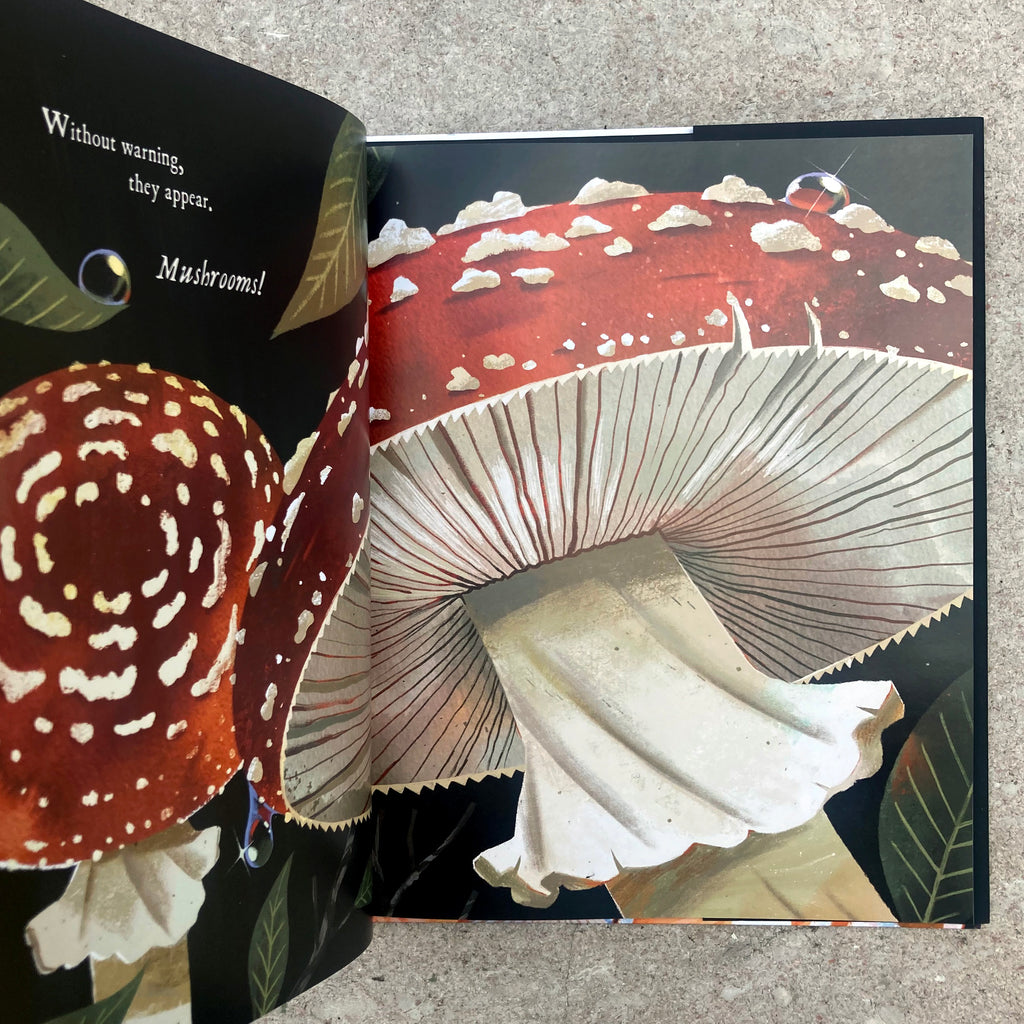 Mushroom Rain opened to a page that reads "Without warning, they appear. Mushrooms!" and features large, colorful, stylized illustrations of amanita mushrooms.