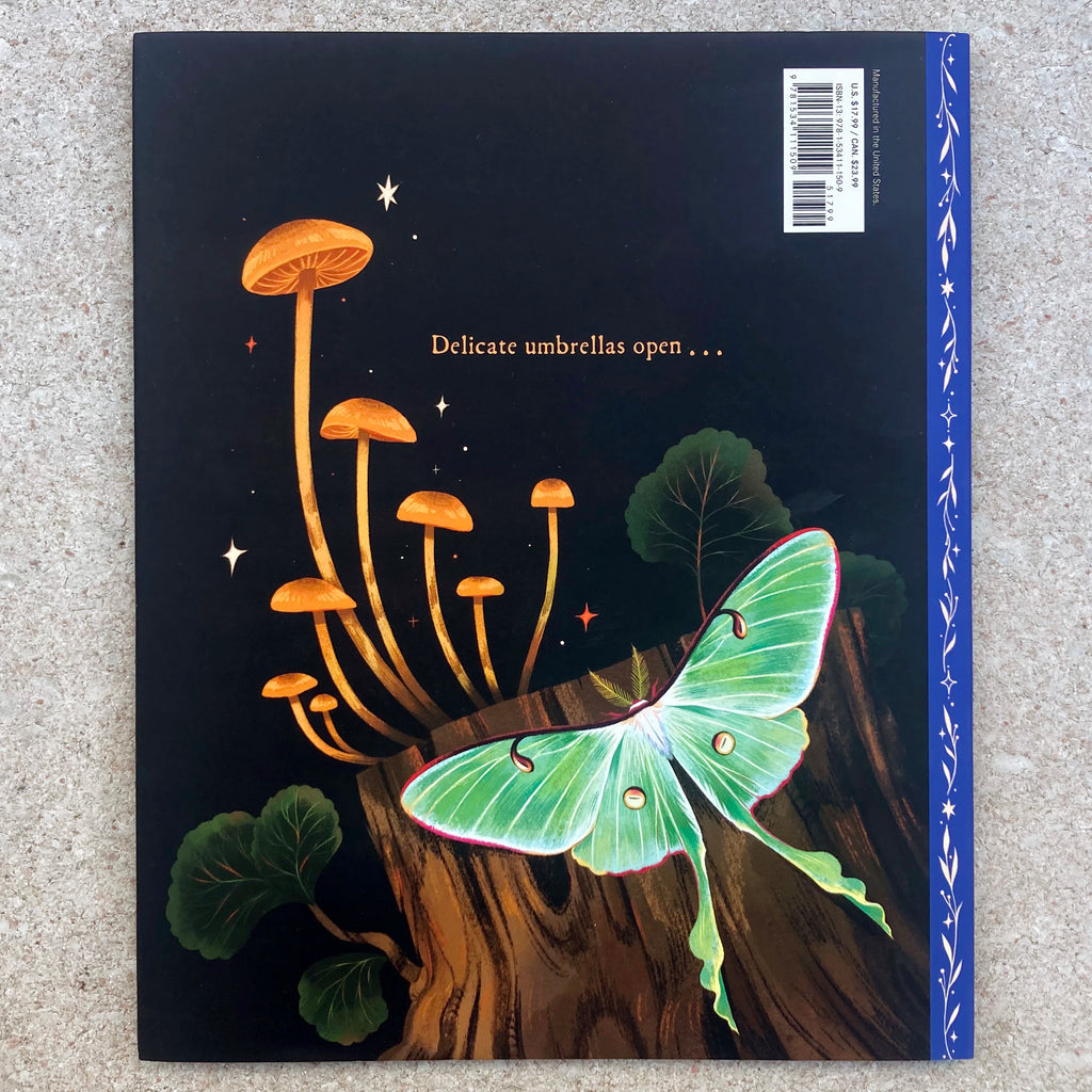 Back hard cover of Mushroom Rain featuring a stylized illustration of a large moth flying by mushrooms sprouting from a tree trunk. Text reads "Delicate umbrellas open . . . "