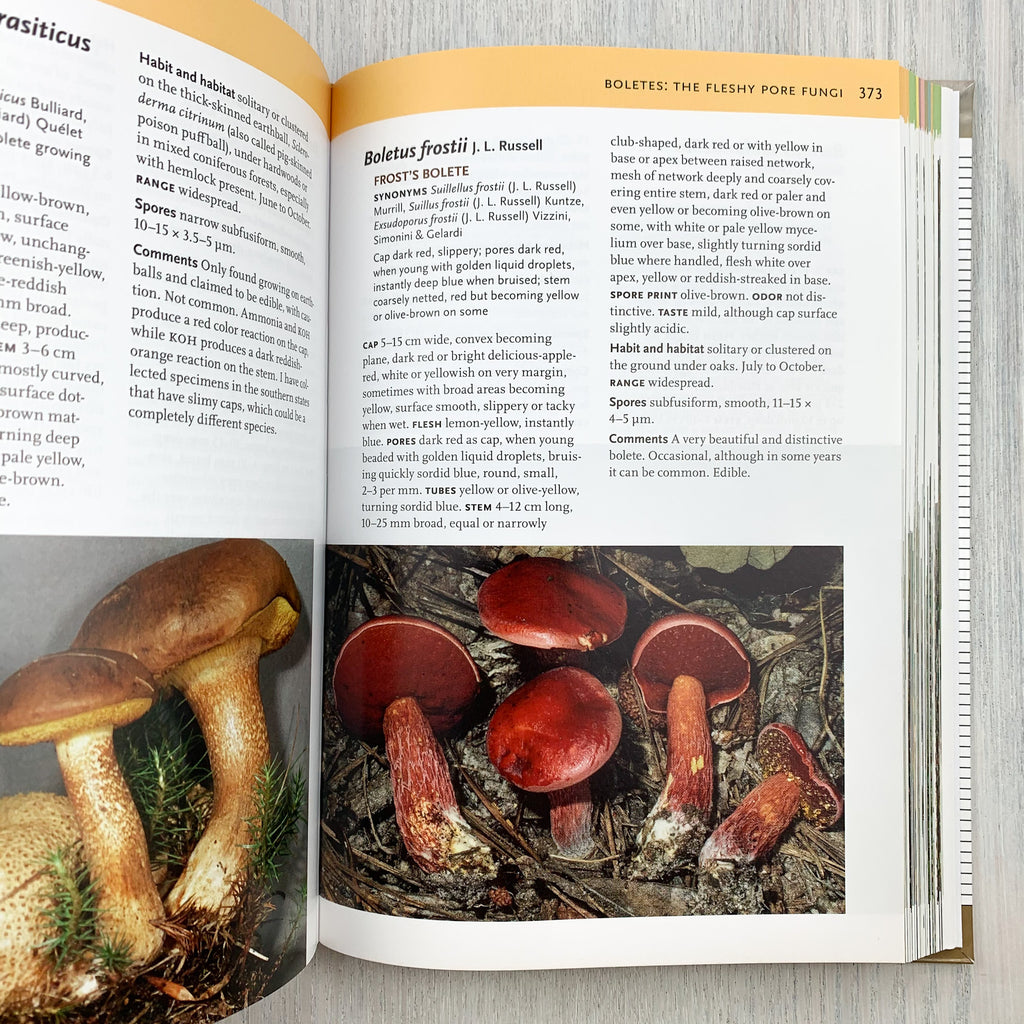 Inside view of book featuring page 373 with various information on and a photograph of the Frost's Bolete mushroom (Boletus frostii).