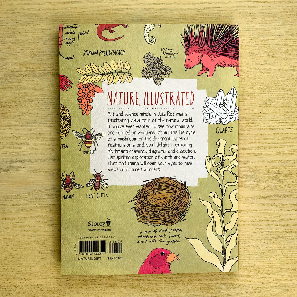 Back cover of Nature Anatomy book with a blurb on the book and a similar collection of stylized nature illustrations including a porcupine, a birds nest, a quartz crystal formation, and several kinds of bees.