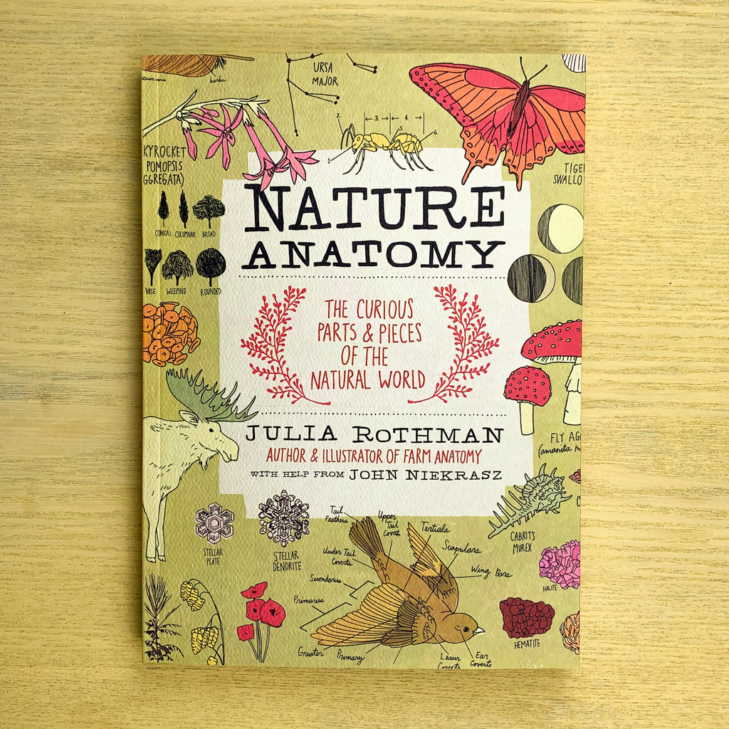Front cover of Nature Anatomy book featuring simple illustrations of various natural phenomena: a constellation, different tree types,  ice crystals in various stages, the phases of the moon, crystals, and a a diagram of a bird highlighting its bodyparts.