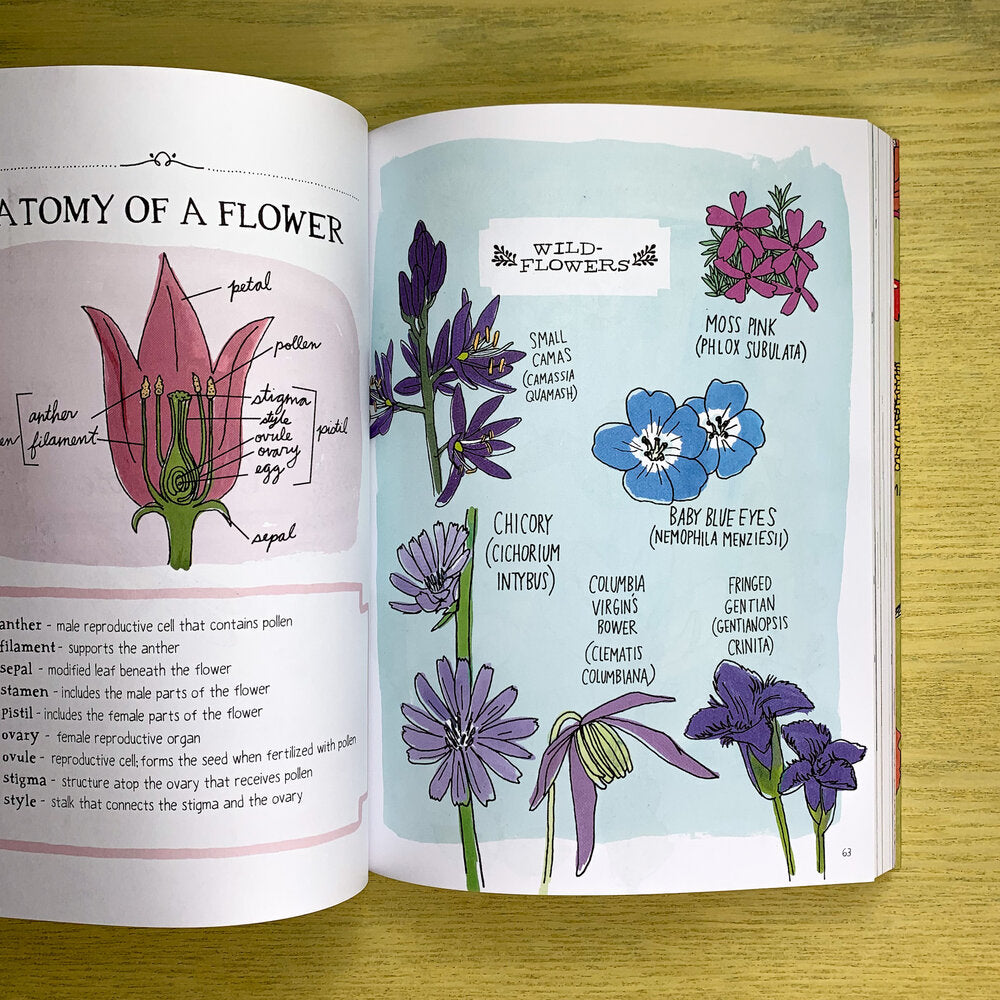 Inside page of Nature Anatomy with colorful illustrations of the "Anatomy of a Flower", including the breakdown of a flowers parts and definitions of those parts.