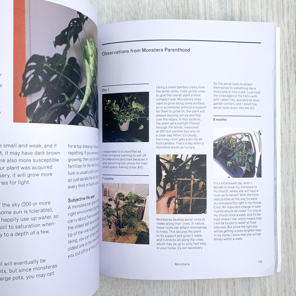Inside page of The New Plant Parent with "Observations from Monstera Parenthood" featuring several photographs.