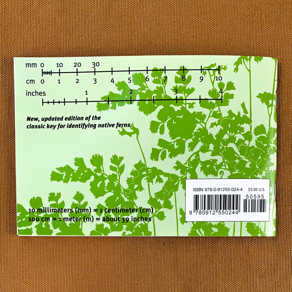 Back cover of guidebook with fern motif and scale ruler