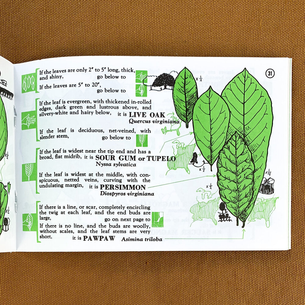 Inside page of Tree Finder guide featuring leaf identification of several similar leaves including descriptions and illustrations.