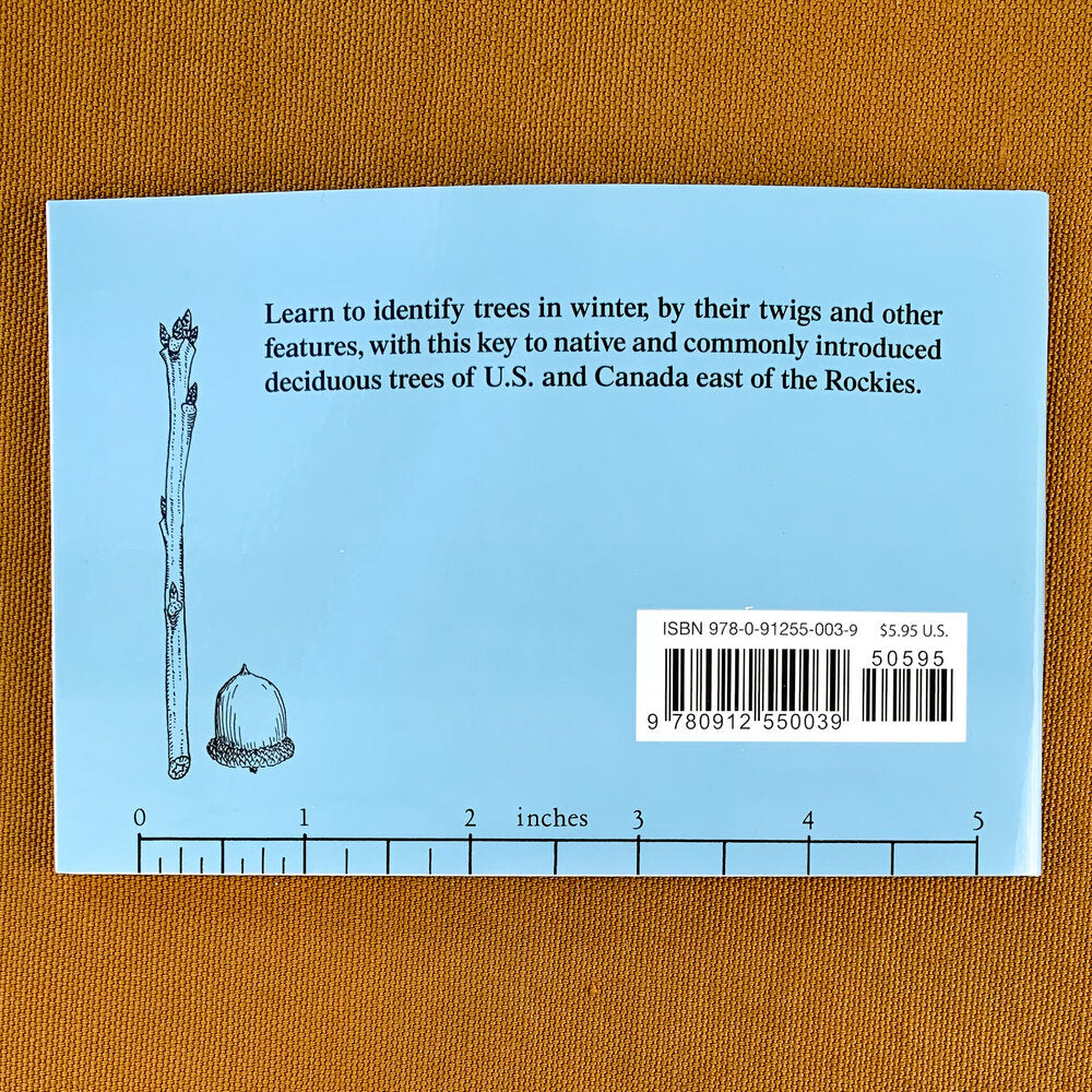 Back cover of Winter Tree Finder featuring a budding twig and an acorn along with a ruler to measure in inches.