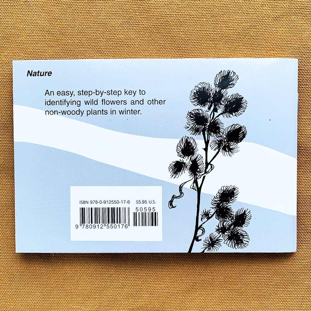 Back cover of Winter Weed Finder featuring an illustration of the silhouette of a weed against a blue and white background.