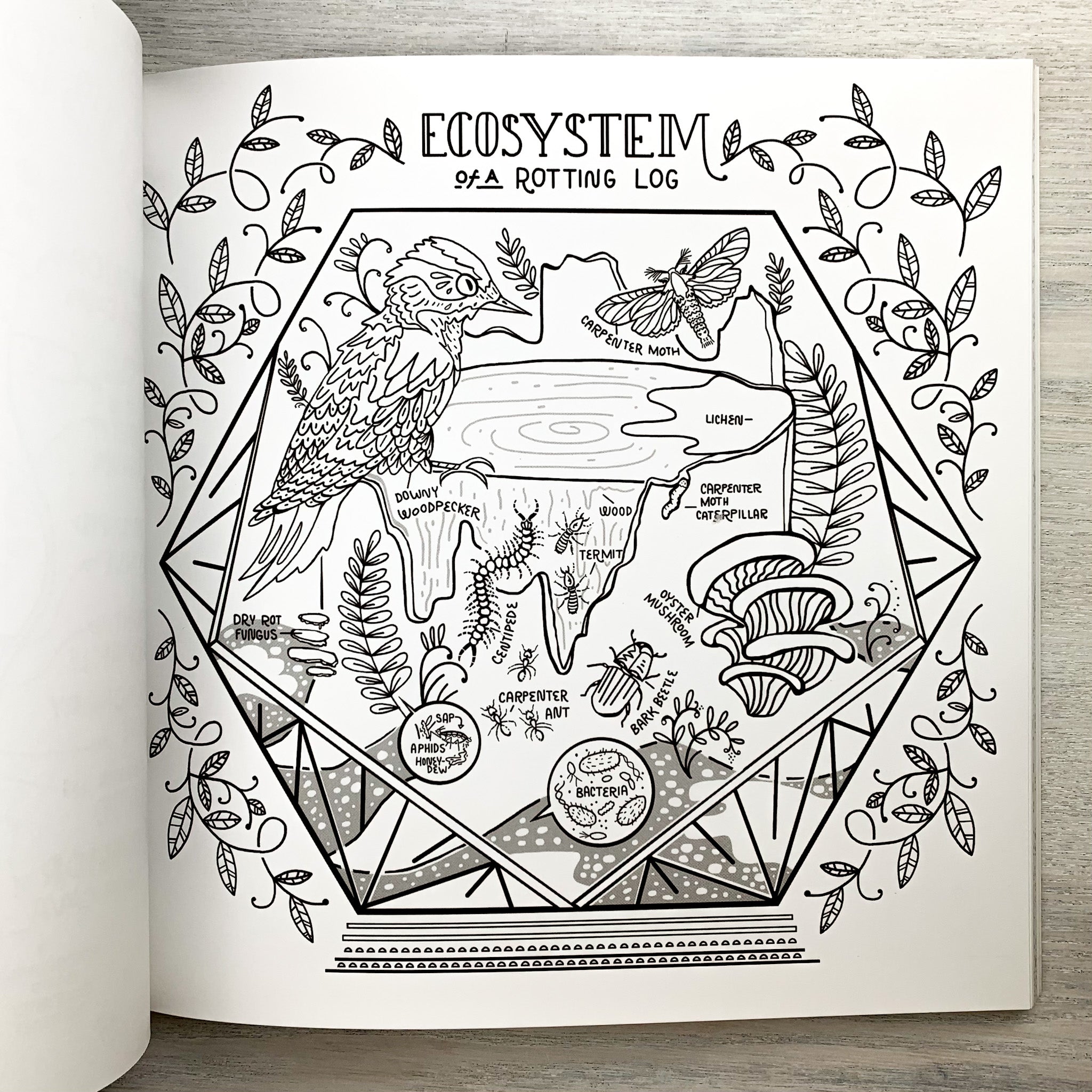 Natural Science Colouring Discover the Wondrous Workings of Science and Nature: An Engaging ...