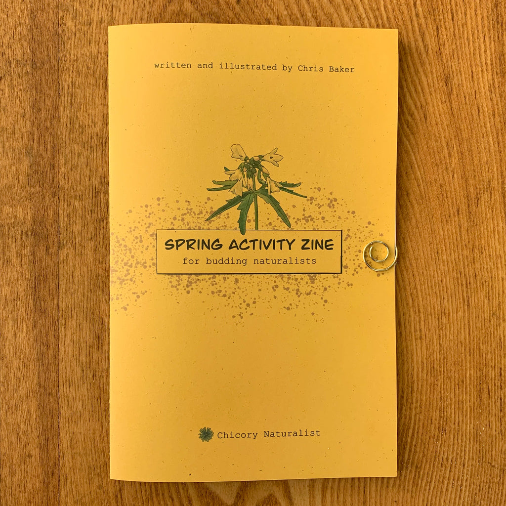 Front cover of Spring Activity zine with bold text on golden paper.