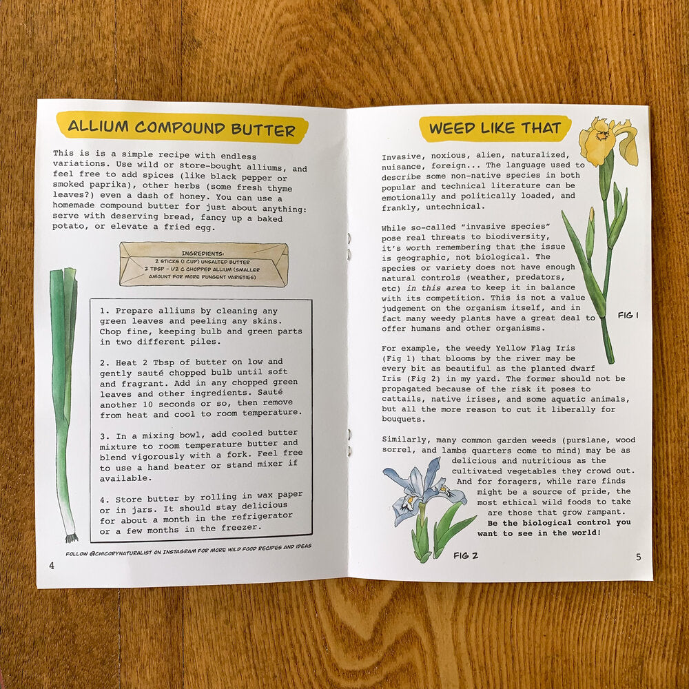Inside of Spring Zine featuring pages on making allium compound butter and a conversation on the topic of weeds.