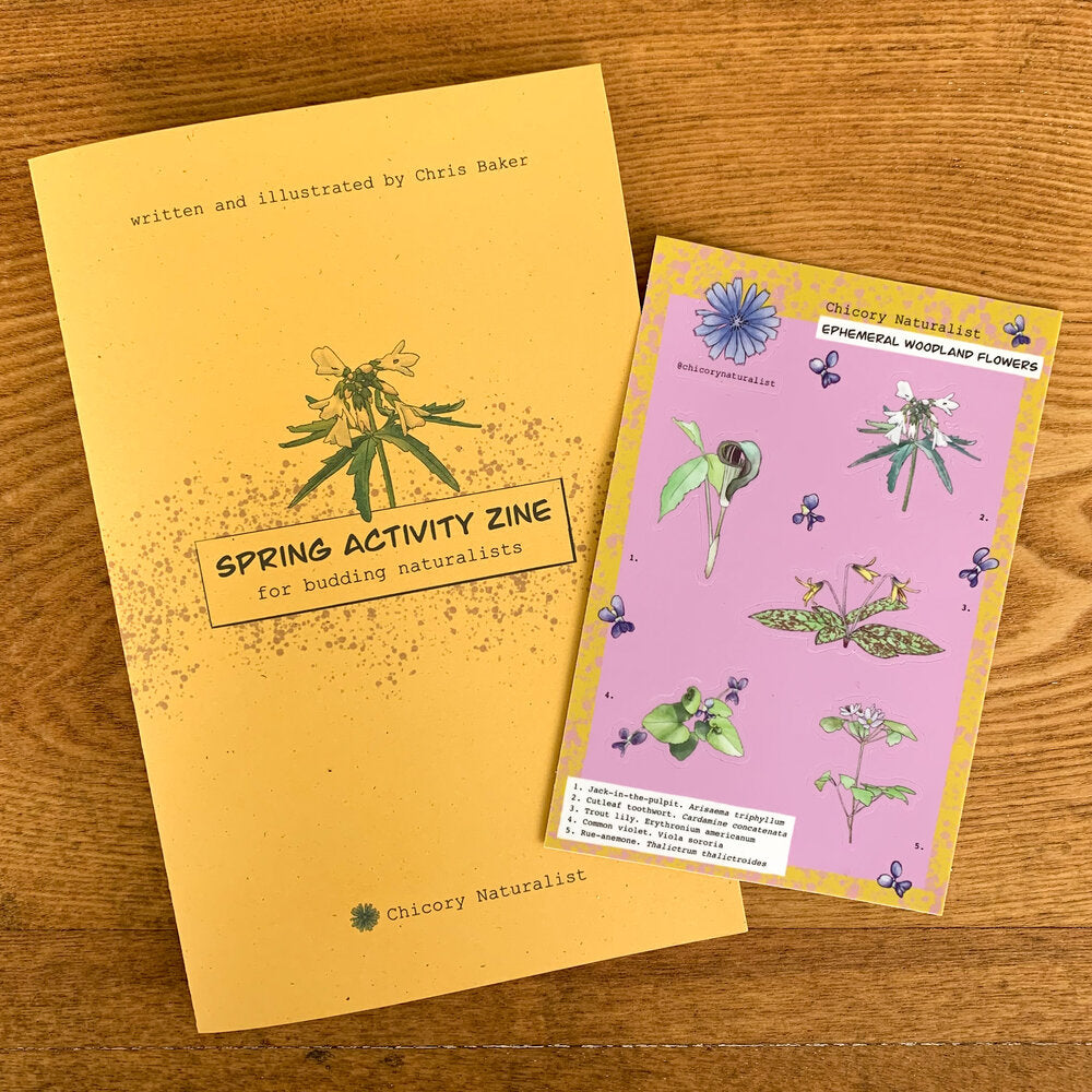 Golden front cover of Spring Activity zine and sheet of Ephemeral Woodland Flowers stickers shown side by size.