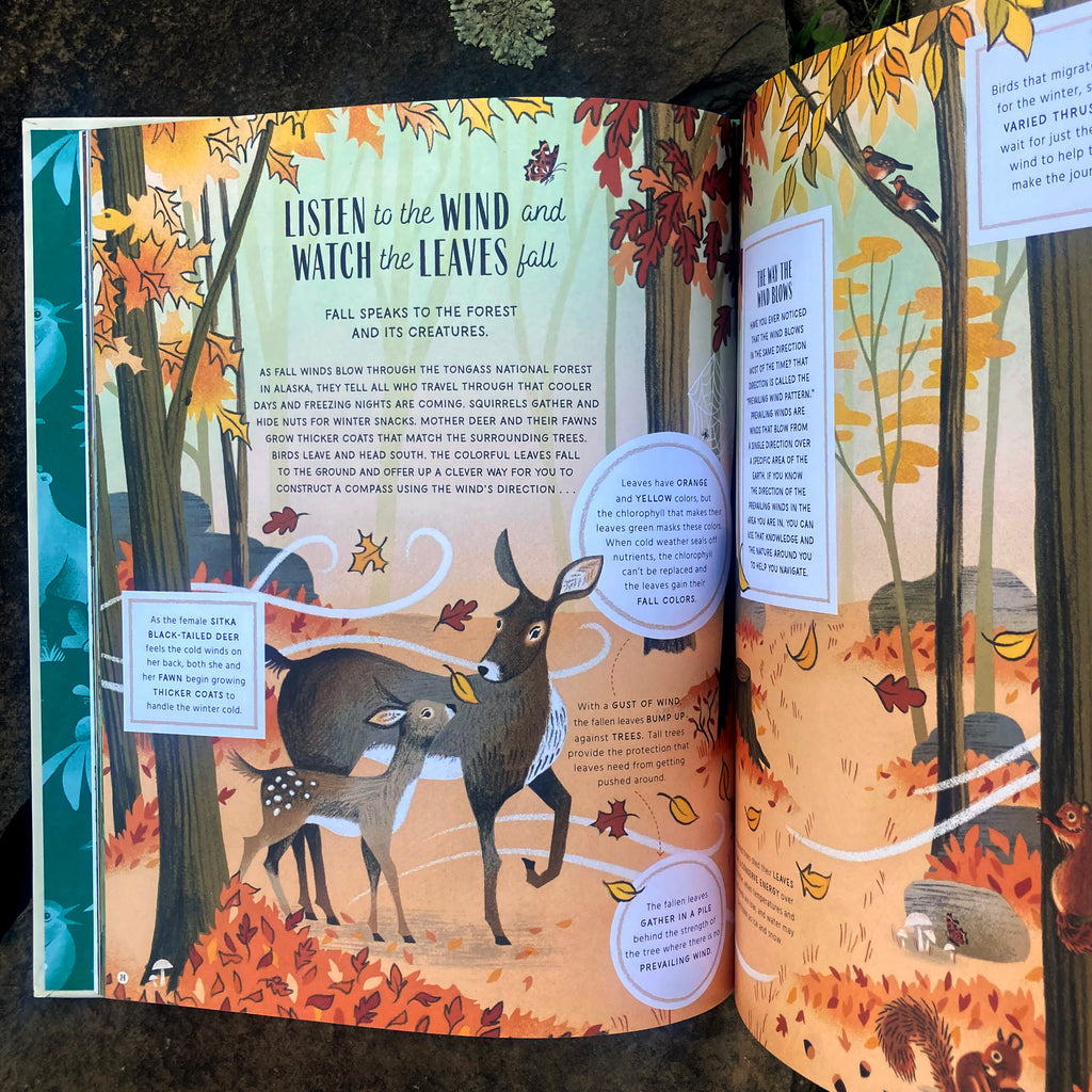 Inside page of The Secret Signs of Nature opened to a page titled "Listen To The Wind and Watch The Leaves Fall" featuring a stylized illustration of a doe and a fawn surrounded by swirling autumn leaves.
