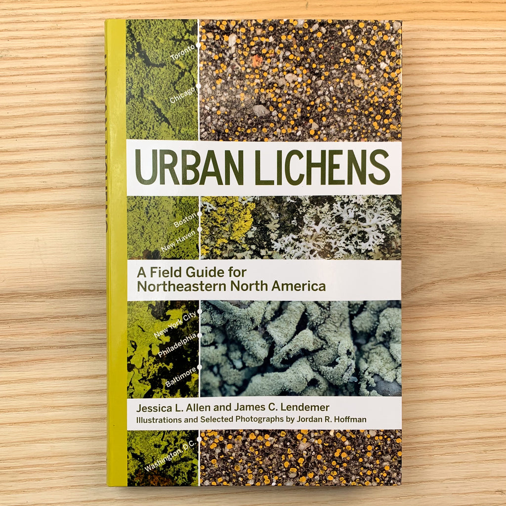Front cover of Urban Lichens featuring photos of several kinds of lichens.