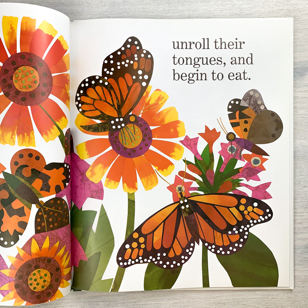 Inside page of Waiting for Wings showing a stylized illustration of butterflies feeding on nectar.