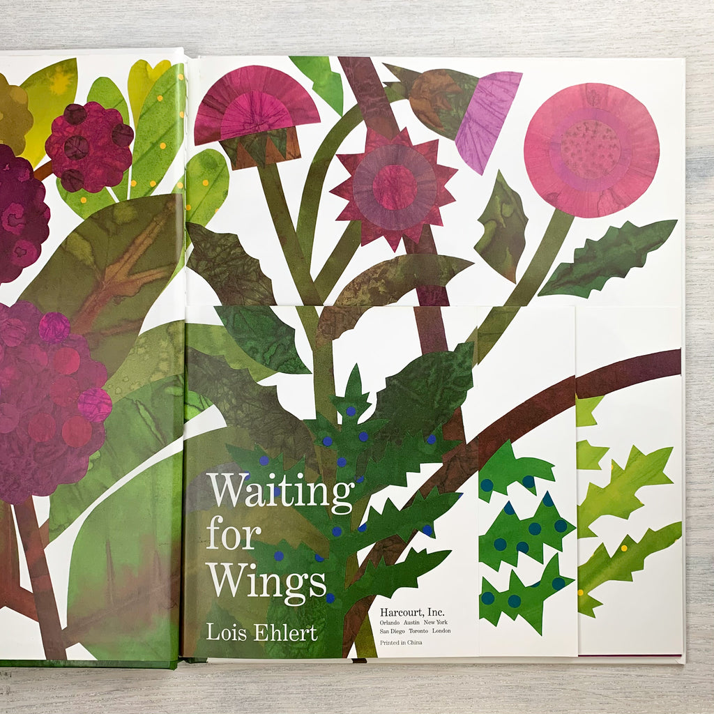 Inside page of Waiting for Wings featuring stylized, collage-like illustration of flowers.
