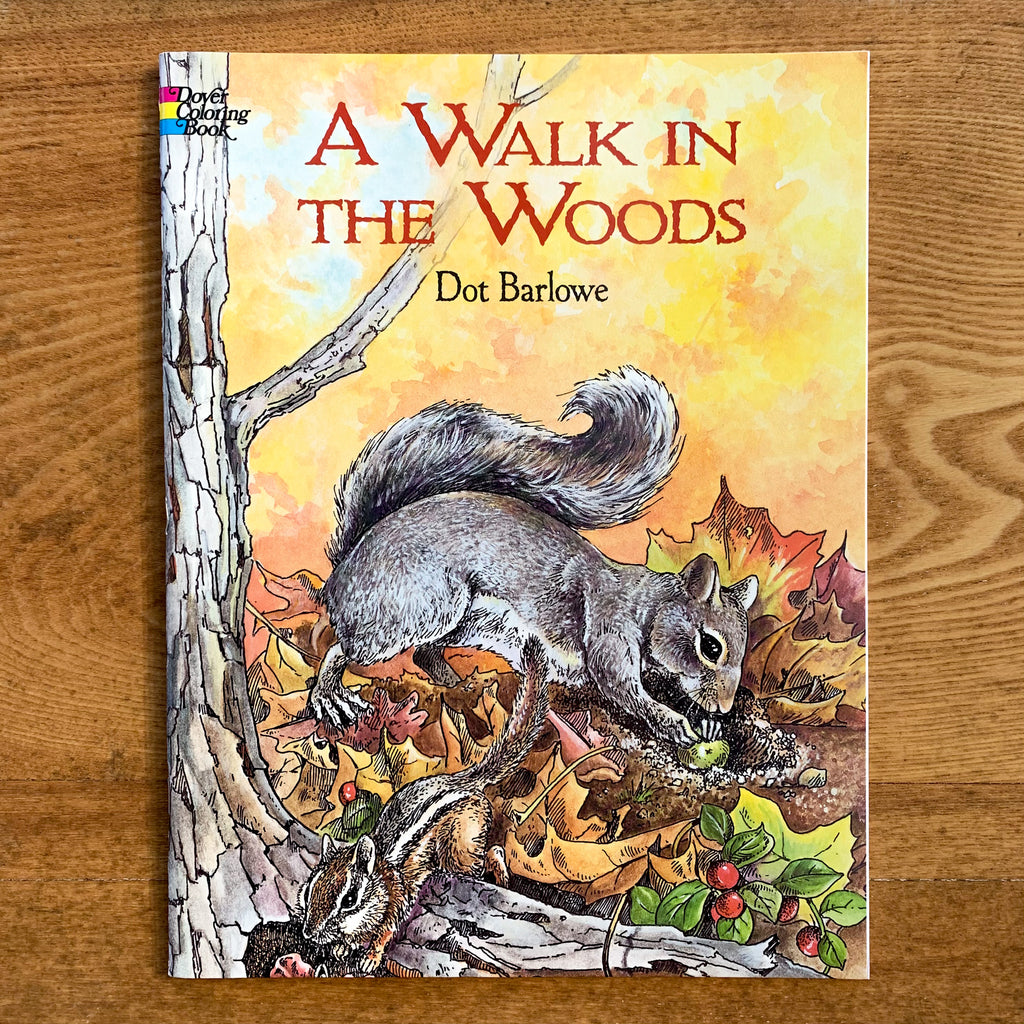 Coloring book cover with illustration of gray squirrel and chipmunk gathering nuts in autumn leaves