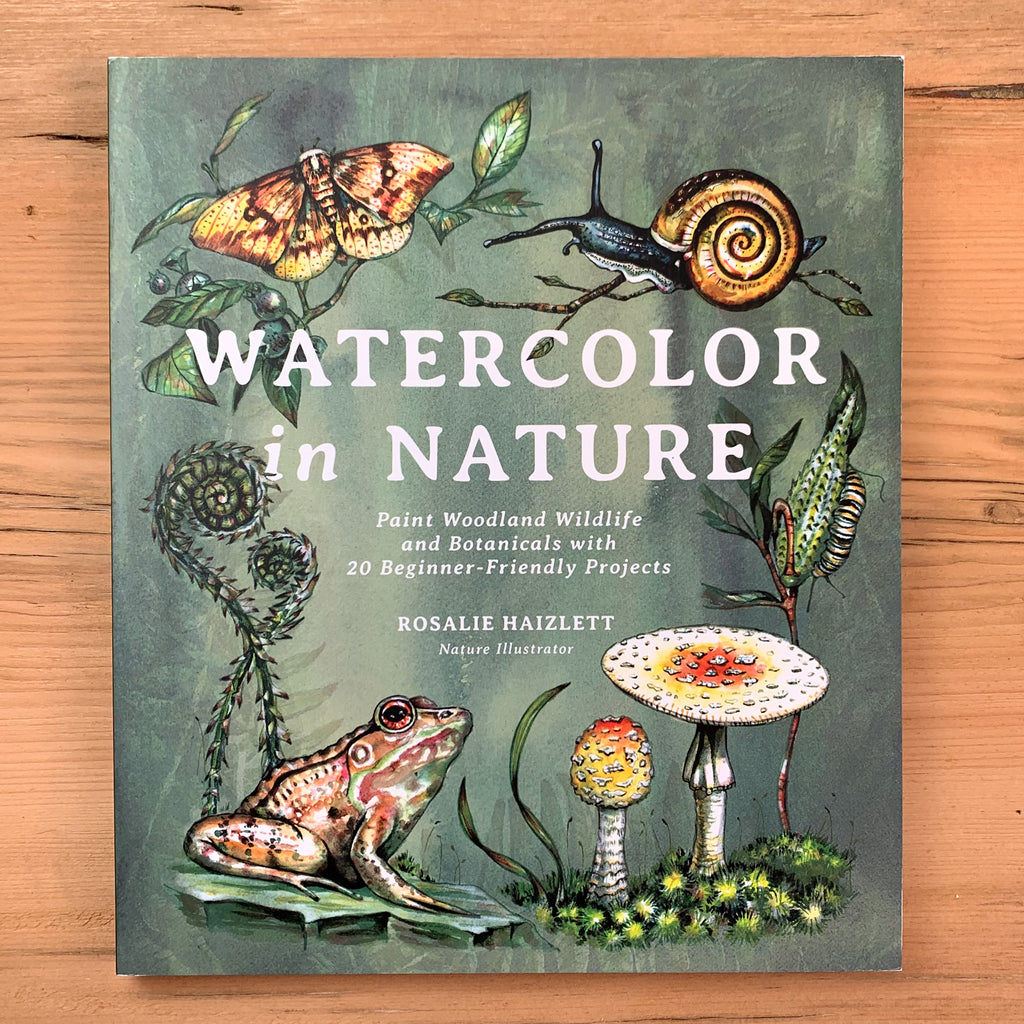 Front soft cover of Watercolor in Nature with illustrations of mushrooms, fiddleheads, a butterfly, a snail, and a frog.