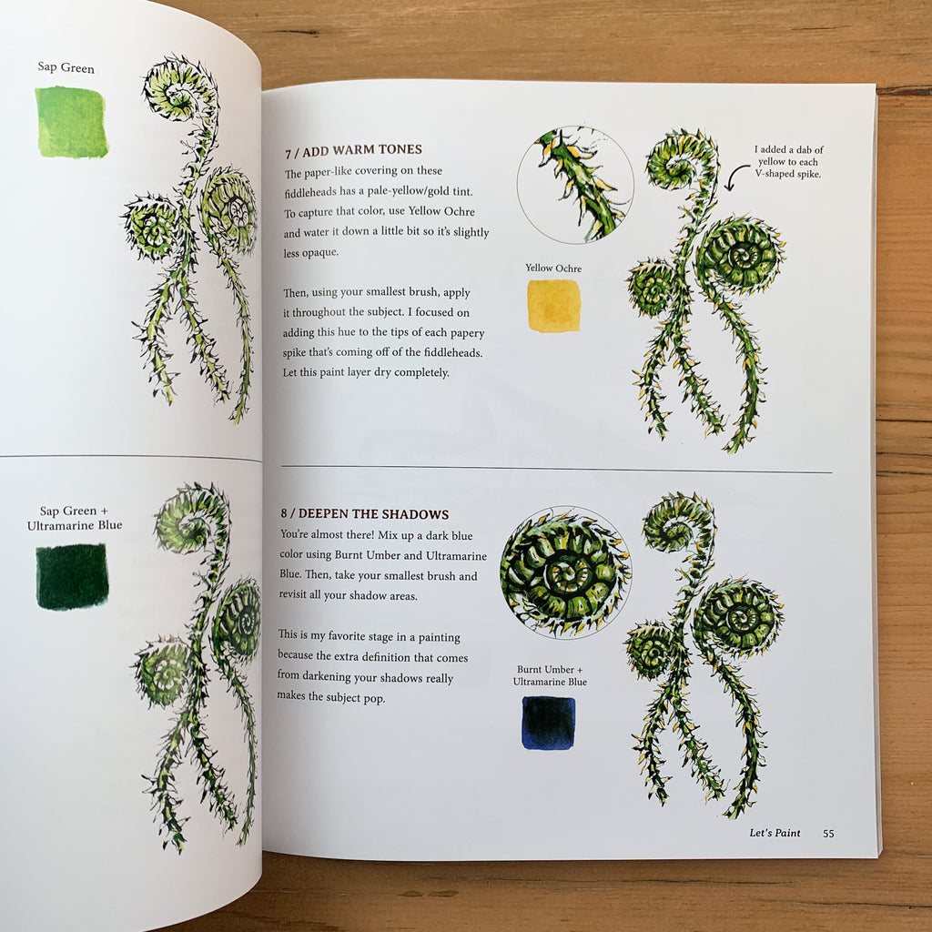 Inside page of Watercolor in Nature showing instructions and illustrations on how to paint a fiddlehead fern.